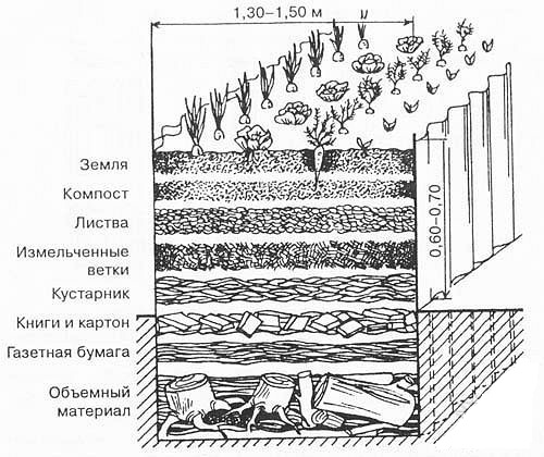 Схема расположения слоев для устройства теплой грядки. Толщина слоев может быть произвольной, но обычно слои делают толщиной 20 см. Схема расположения слоев для устройства теплой грядки. Толщина слоев может быть произвольной, но обычно слои делают толщиной 20 см.
