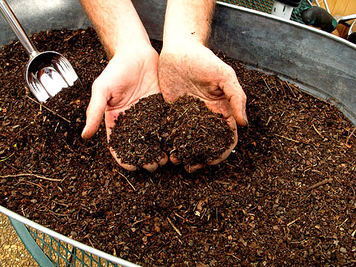 Компост своими руками. Изготавливаем органическое удобрение. Нужна ли компостная яма?